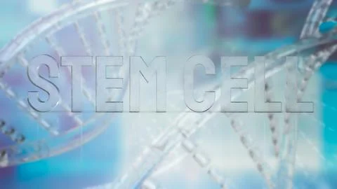 The  stem cell text on dna background for sci or medical concept 3d rendering Stock Photos