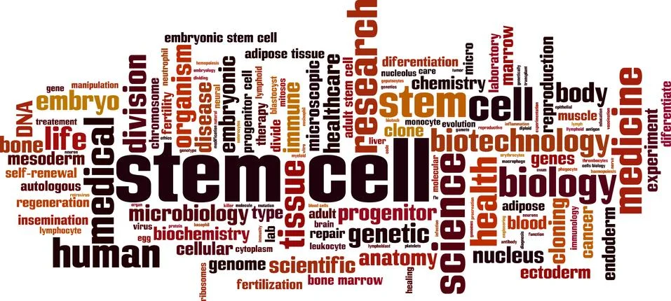 Stem cell word cloud Stock Illustration