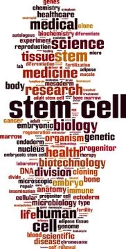 Stem cell word cloud Stock Illustration