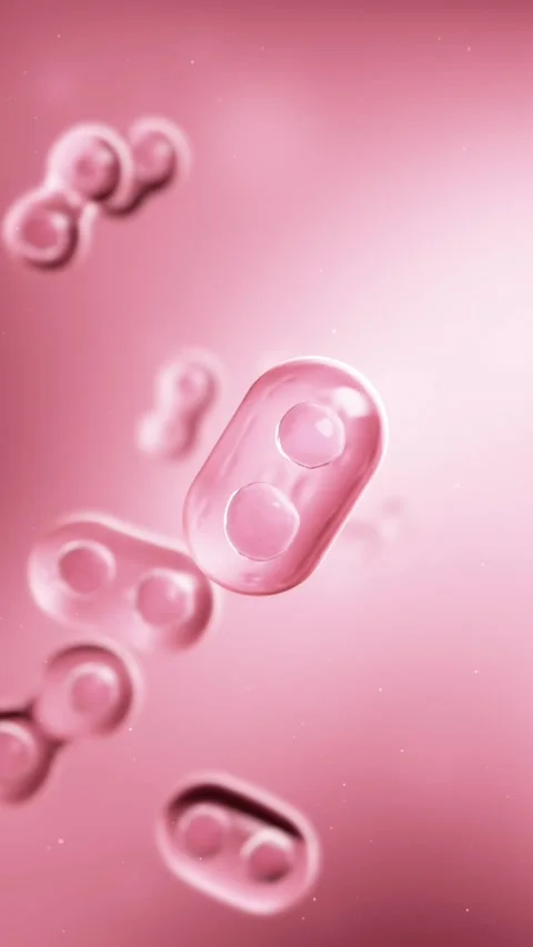Stem cells dividing, cloning, and reproducing 库存影片 344102682