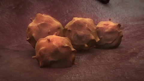 Stem Cells Dividing Stock Footage