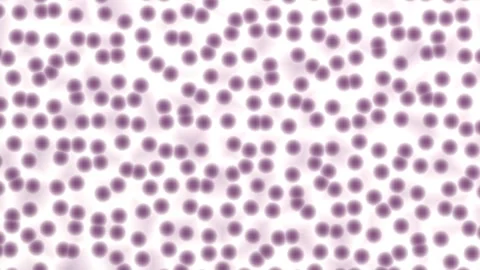 Stem Cells Division Simulation Under Microscope Stock Footage 315138384
