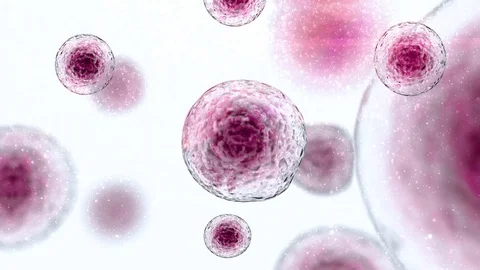 Stem Cells Immunotherapy Stem Cell floating freely Stock Footage