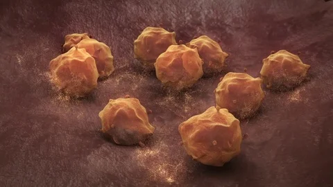 Stem Cells multiplying then Dying Vídeos de archivo 74389191