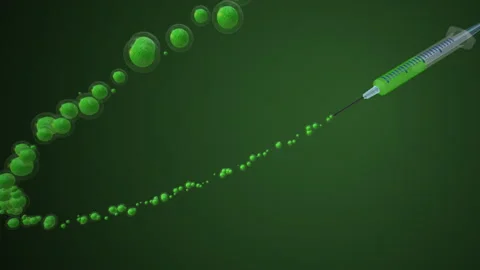 Stem cells with syringe Stock Footage 252188474