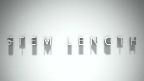 Stem length 3D title animation with shadows on a white background Stock-Footage 297013428
