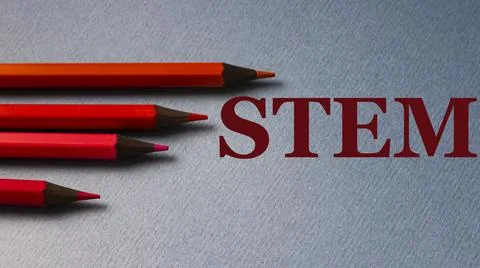 STEM - text on gray paper with red pencils lying next to Stock Photos