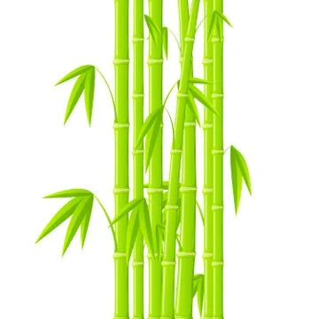 Stems of bamboo in simple style on white background Stock Illustration