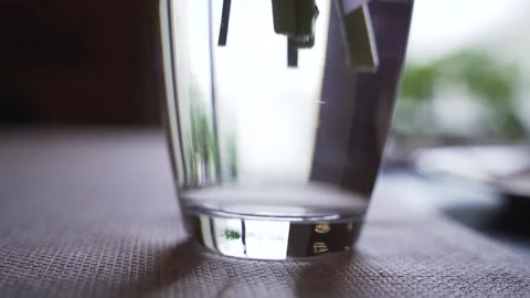 Stems dipped into water Stock Footage 145974276