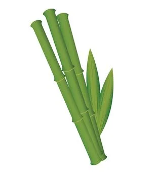 Stems of green bamboo on a white background Illustrazione stock