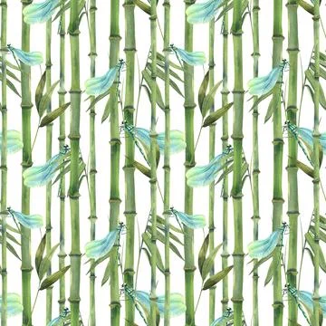 Stems, leaves, bamboo trees with blue dragonflies on a white background Stock Illustration