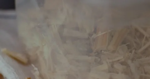 The stems of sugarcane fall into a clear container after being cut Stock Footage 240690832