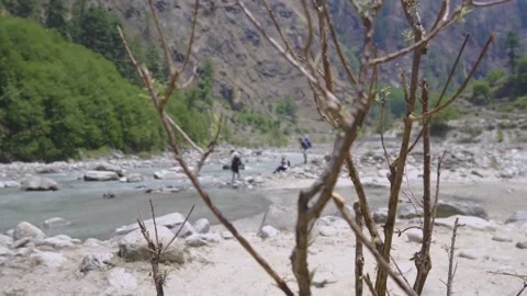 Stems sway in the wind, revealing a background of people sitting by a riverside Video stock 280267208