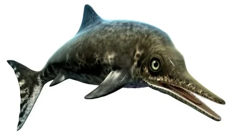 Stenopterygius Stock-Illustration