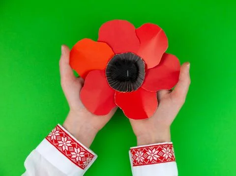 Step 10. Step by step instructions. How to make a red poppy from colored pape Stock Photos