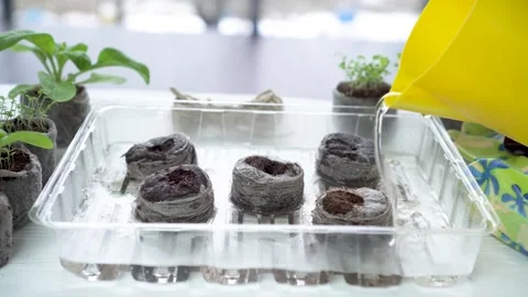 Step 2. Video instruction on the use of peat pellets. Stock Footage 150053881