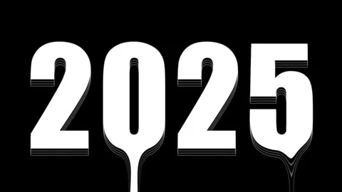 Step into 2025 with confidence and courage. Stock Footage 296087150