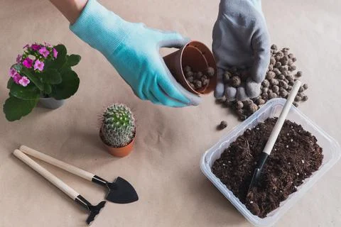 Step 3. Flat lay Step-by-step instructions for transplanting a cactus flower  Stock Photos