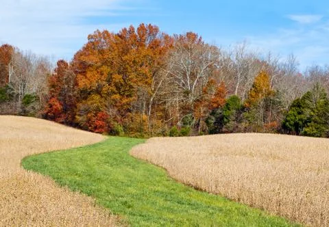 Step into Autumn Stock Photos