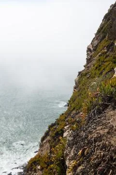 Step cliff of cabo de roca covered with grass Stock Photos