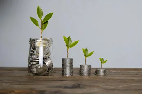 Step of coins stacks with tree growing on top Stock Photos