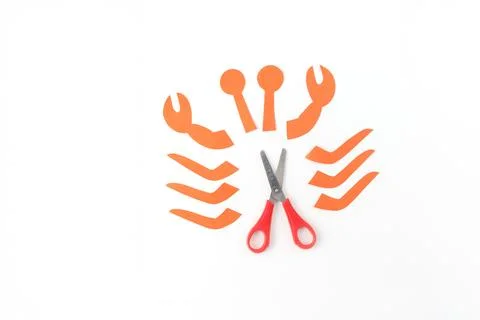 Step in creative process, an arrangement of orange paper cutouts on a white.. Stock Photos