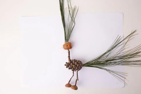 Step in creative process, The body of the bird is a pine cone, the head is .. Stock Photos