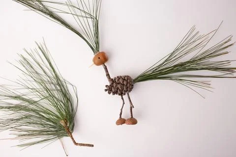 Step in creative process, DIY, handmade bird crafted from pine cones and tw.. Stock Photos