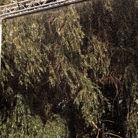 Step eagle flying through rain. Water screen. Ultra slow motion hispeed 1000fps Stock Footage 93165627