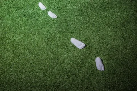 Step foot on the soft grass Stock Photos