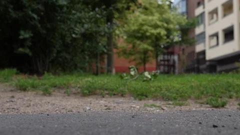 Step 動画素材 106465381