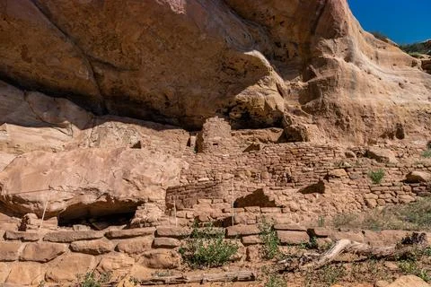 Step House Cliff Dwellings, Mesa Verde National Park, Colorado Stock Photos