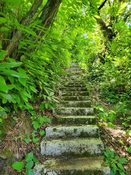 Step to the nature Stock Photos