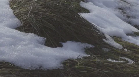 Step in snow slow motion 動画素材 62894966