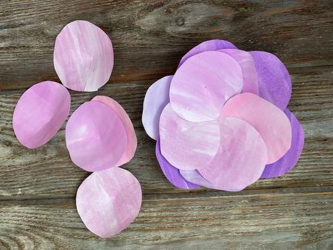 Step by step, for children how to make a 3D volumetric flower from paper. Stock Photos