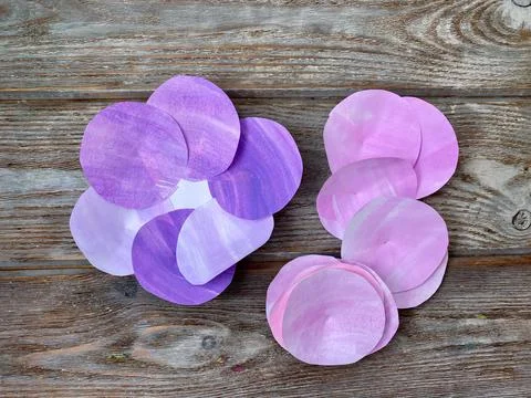 Step by step, for children how to make a 3D volumetric flower from paper. Stock Photos