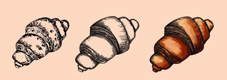 Step by step coffe cup drawing in doodle and etching style Illustrazione stock