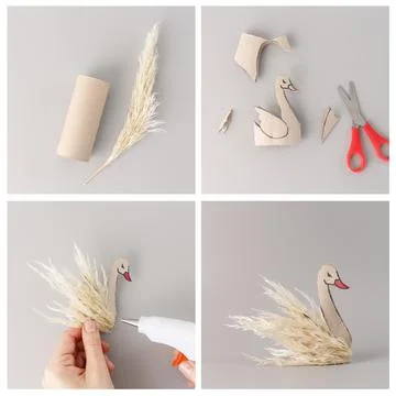 Step-by-step collage of DIY swan craft made from cardboard tube and pampas .. Stock Photos