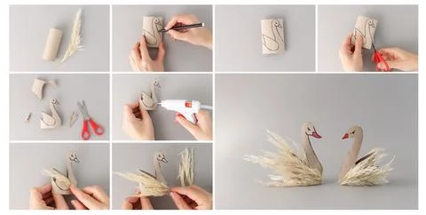 Step-by-step collage of DIY swan craft with cardboard tube and pampas grass.. Stock Photos