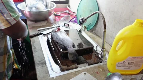 Step-by-Step Fish Cleaning Process Stock Footage 276533968