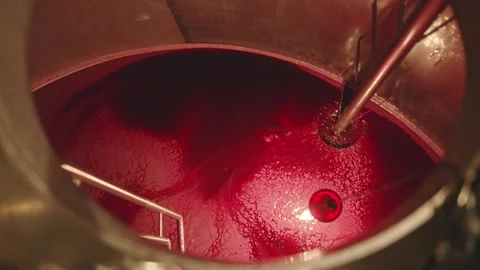 Step by step guide to making rich red liquid wine in a winery Stock Footage 321406653