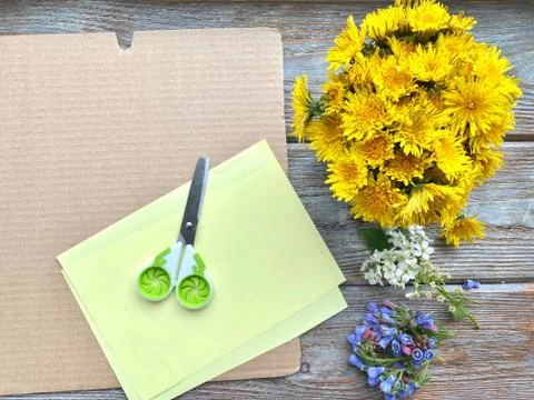 Step by step, how to make a children's craft, a picture of dandelions. Stock-Fotos