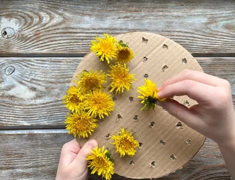 Step by step, how to make a children's craft, a picture of dandelions. Foto stock