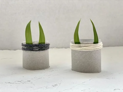 Step by step how to make a spring bunny from a roll of toilet paper. Stock Photos