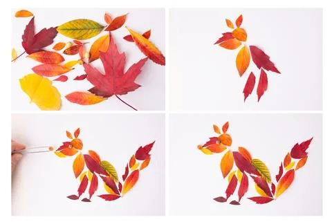 Step by step instruction how to make fox out of autumnal leaf, DIY, collage 写真素材