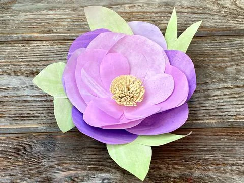 Step by step, instructions for children how to make a 3D volumetric flower Stock Photos