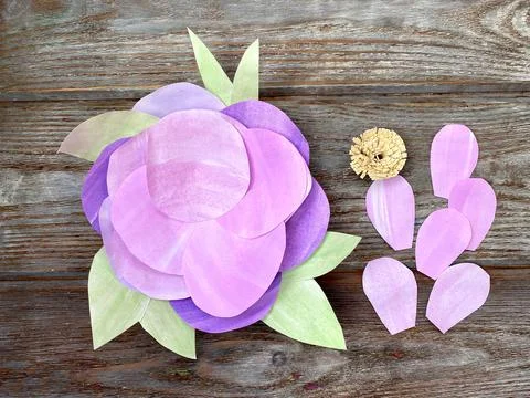 Step by step, instructions for children how to make a 3D volumetric flower Stock Photos