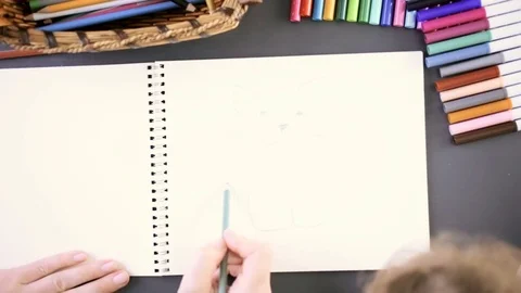 Step by step. Little birl coloring drawing of the cat. Stock Footage