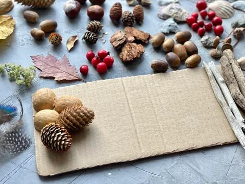 Step by step, making a children's sensory game from natural material. Stock Photos