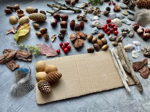 Step by step, making a children's sensory game from natural material. Stock Photos